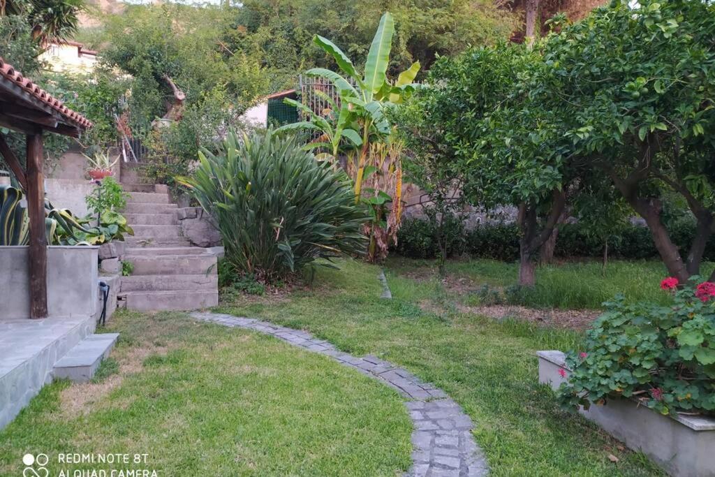 Relax On The Sea Villa Pizzo  Exterior photo
